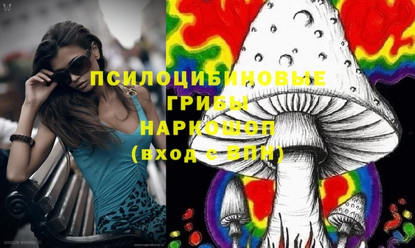 ешки Алексин