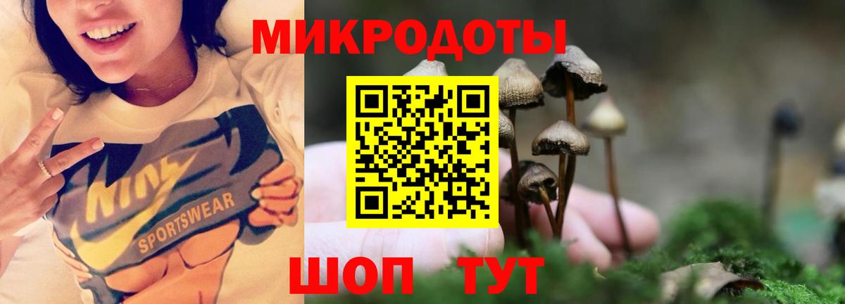 Кириши  Галлюциногенные грибы ЛСД  Вход с VPN  наркота  Псилоцибиновые грибы мицелий 