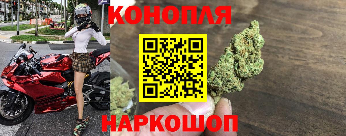 Бошки Шишки семена Кириши